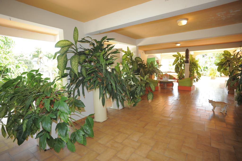 Au Domaine Des Bougainvilliers Villa Sainte-Rose Eksteriør bilde